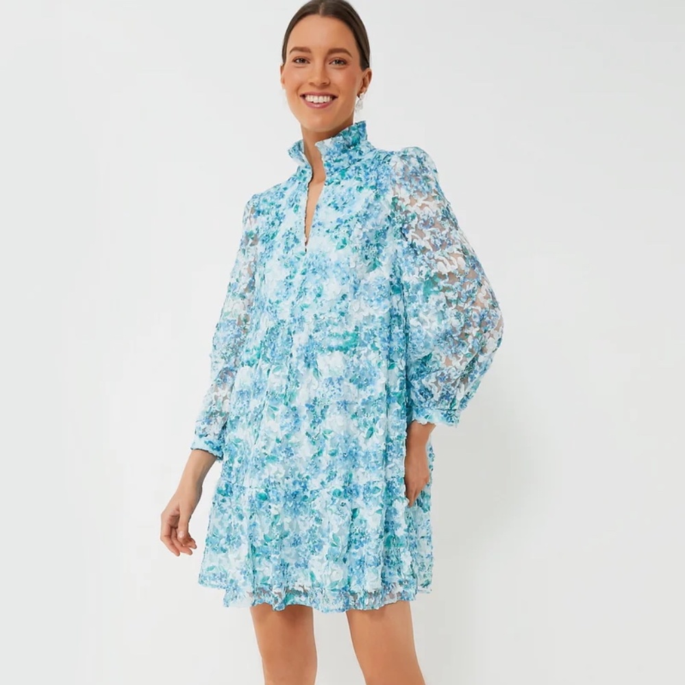 NWT Tuckernuck Water's Edge Hydrangea Organza Palmerston Dress XL